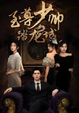 至尊少帅踏龙城在线观看