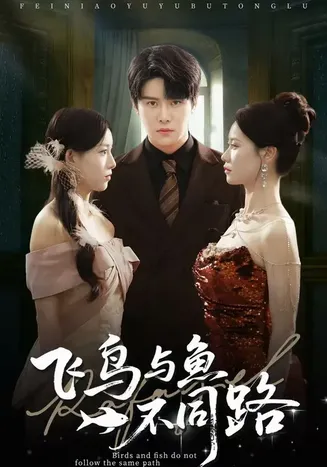 飞鸟与鱼不同路在线观看