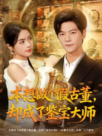 本想做个假古董,却成了鉴宝大师在线观看