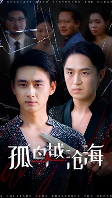 孤鸟越沧海在线观看