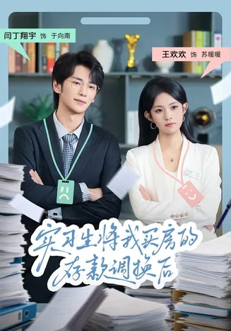 实习生将我买房的存款调换后在线观看