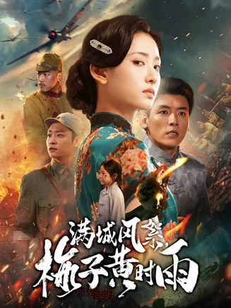 满城风絮梅子黄时雨在线观看