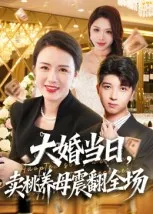 大婚当日，卖桃养母震翻全场在线观看