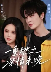 重燃之深情未晚在线观看