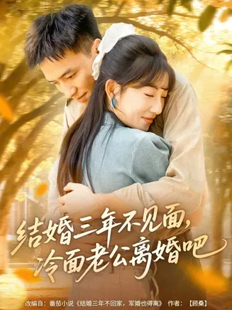 结婚三年不见面，冷面老公离婚吧在线观看