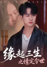 缘起三生之情定今世在线观看