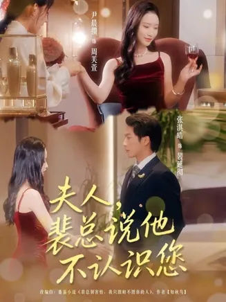 夫人裴总说他不认识您在线观看