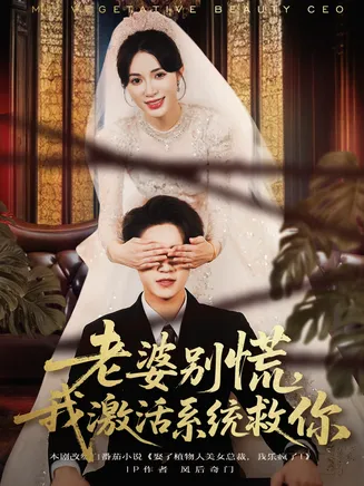 老婆别慌,我激活系统救你在线观看