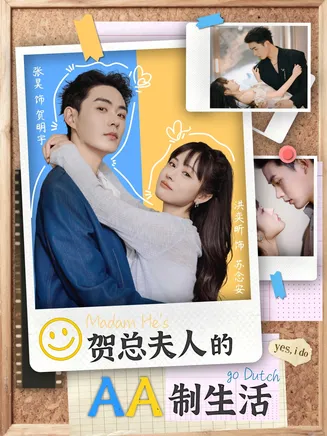 贺总夫人的AA制生活在线观看