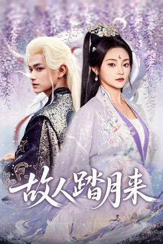故人踏月来在线观看