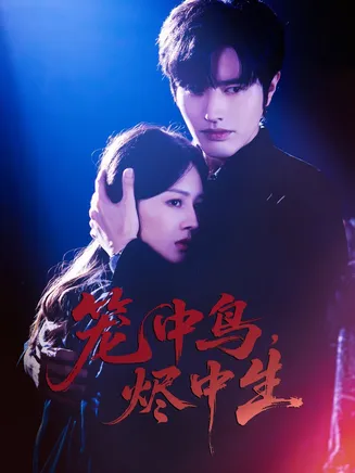 笼中鸟，烬中生在线观看