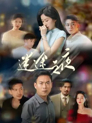 迷途之夜在线观看