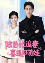 陆总忙追妻喜提四萌娃在线观看