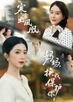 寒舍出凤凰妈妈换我保护你在线观看