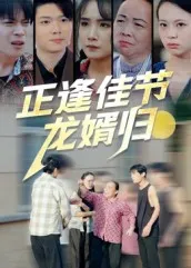 正逢佳节龙婿归在线观看