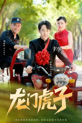 龙门虎子在线观看