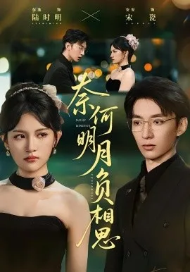 奈何明月负相思在线观看