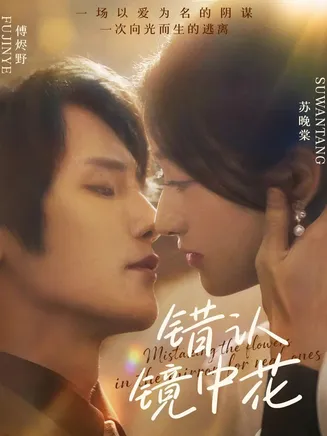 错认镜中花在线观看
