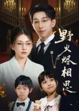 野火烬相思在线观看