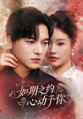如期之约心动予你在线观看