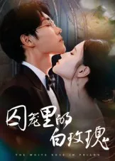 囚笼里的白玫瑰在线观看