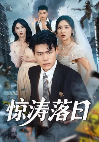 惊涛落日在线观看
