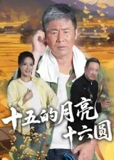 十五的月亮十六圆在线观看