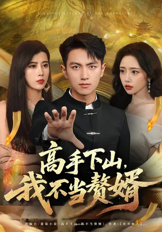 高手下山我不当赘婿在线观看