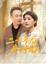 二十年后来闪婚在线观看