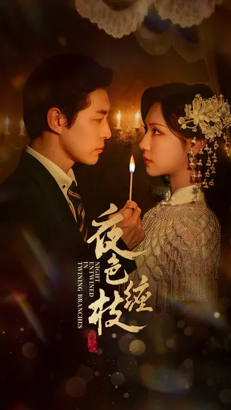 夜色缠枝在线观看