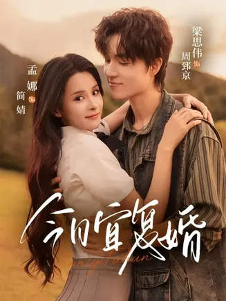 今日宜复婚在线观看