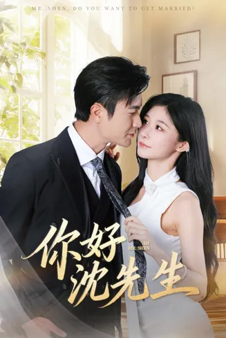 你好沈先生在线观看