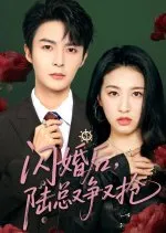 闪婚后陆总又争又抢在线观看
