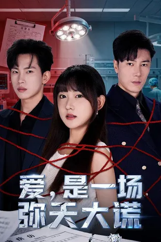 爱是一场弥天大谎在线观看
