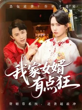 我家女婿有点狂在线观看