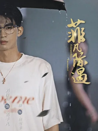 菲凡际遇在线观看