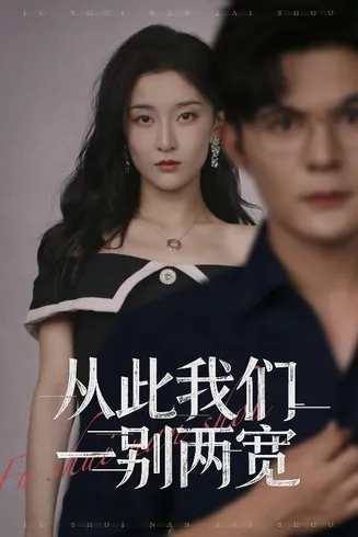 从此我们一别两宽在线观看