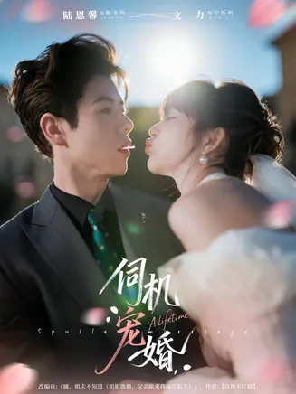 伺机宠婚在线观看