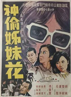 神偷姊妹花粤语在线观看