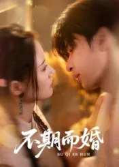 不期而婚在线观看
