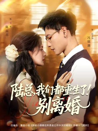 陆总我们都重生了别离婚在线观看