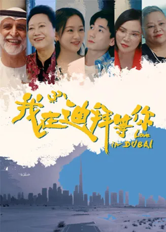 我在迪拜等你在线观看