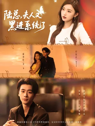 陆总夫人又黑进系统了在线观看
