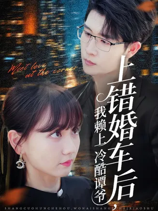 上错婚车后我赖上冷酷谭爷在线观看