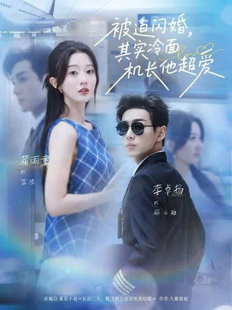 被迫闪婚其实冷面机长他超爱在线观看