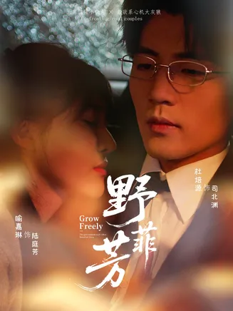 野芳菲在线观看