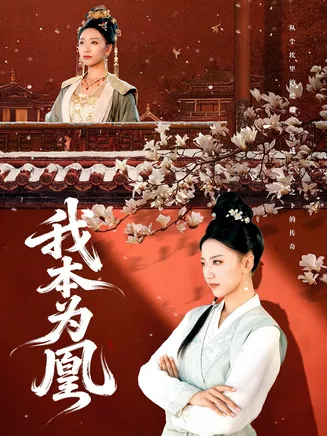 我本为凰在线观看
