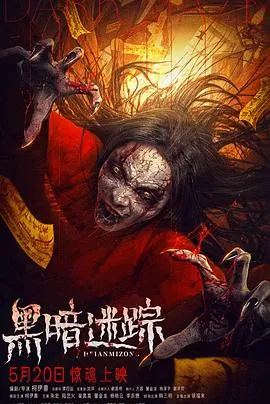 黑暗迷踪在线观看