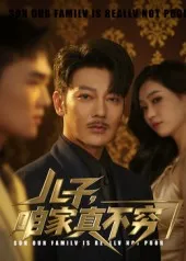儿子咱家真不穷在线观看