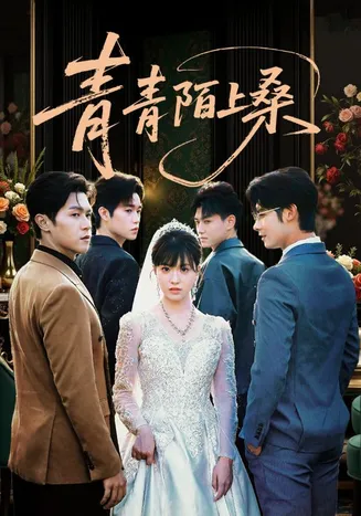 青青陌上桑在线观看